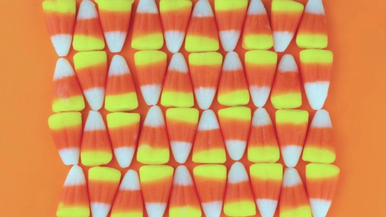 57% of Americans cut back on candy this Halloween as chocolate prices rise: New study